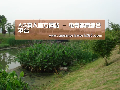 案例展示四(图1)