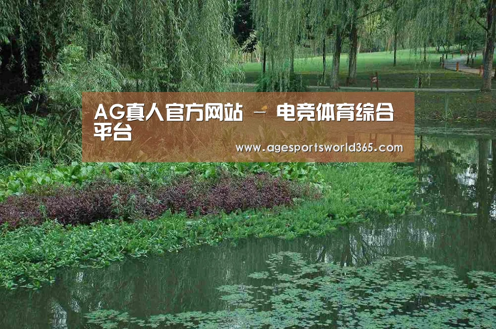 案例展示一(图1)