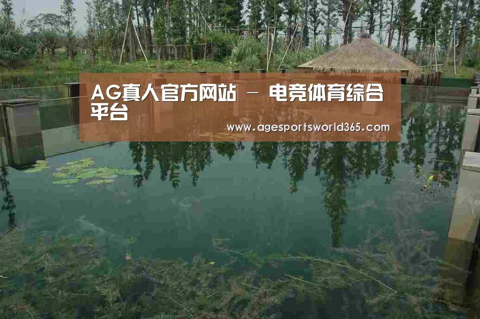 案例展示二(图1)