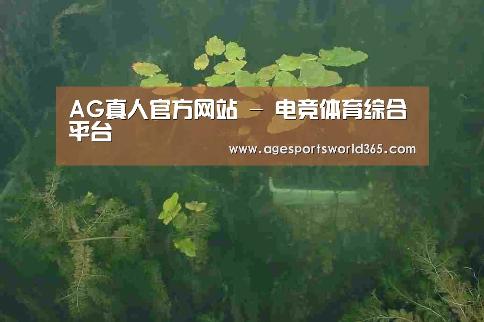案例展示三
