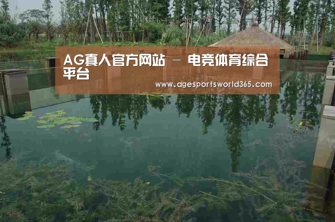 案例展示二