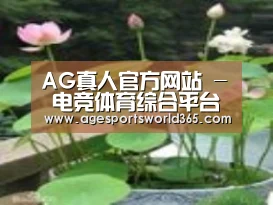 产品名称一