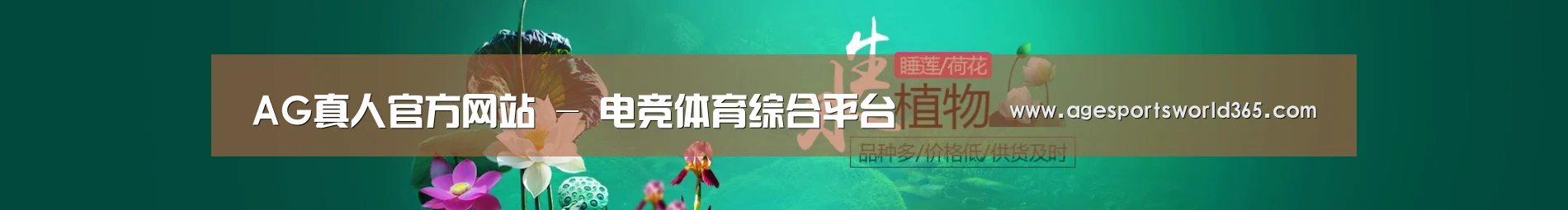 鲜花水草花卉网站模板
