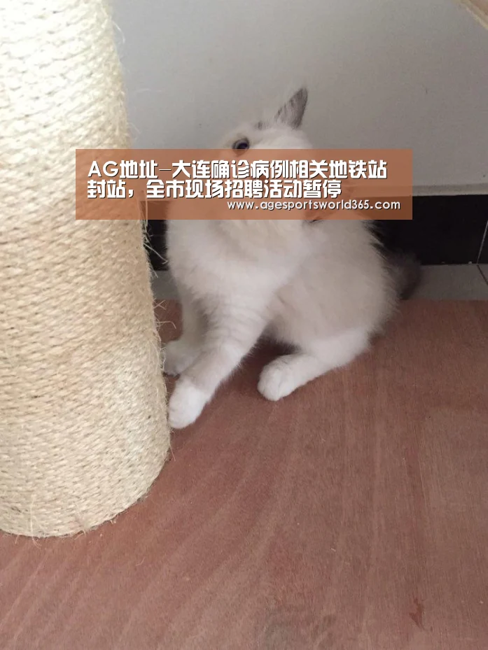 AG棋牌