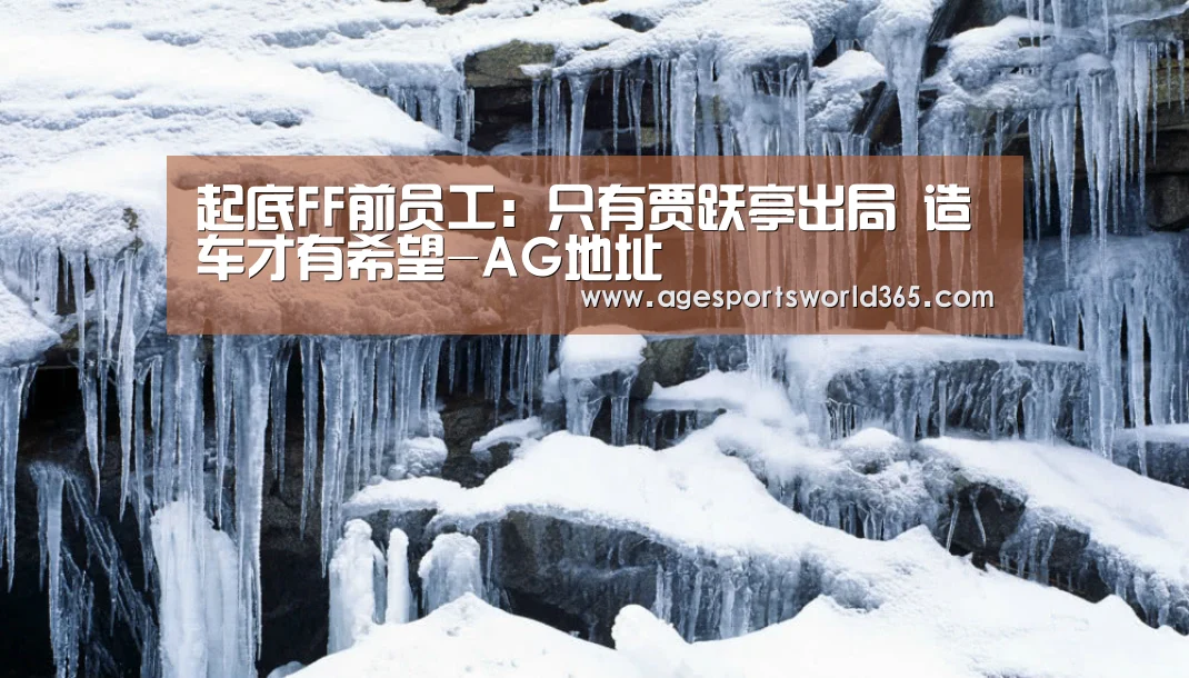 起底FF前员工:只有贾跃亭出局 造车才有希望-AG地址(图2) AG地址