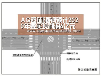 AG篮球|酒钢预计2020年要实现利润6亿元 并生产电解铝155万吨(图4) AG篮球