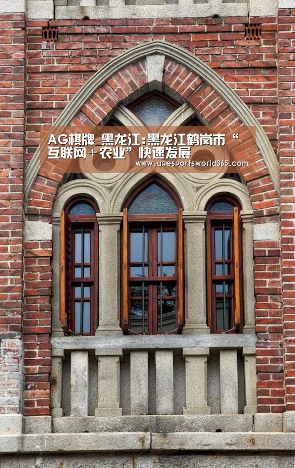AG棋牌_黑龙江:黑龙江鹤岗市“互联网+农业”快速发展(图1) AG棋牌