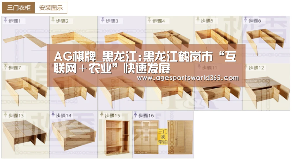 AG棋牌_黑龙江:黑龙江鹤岗市“互联网+农业”快速发展(图4) AG地址
