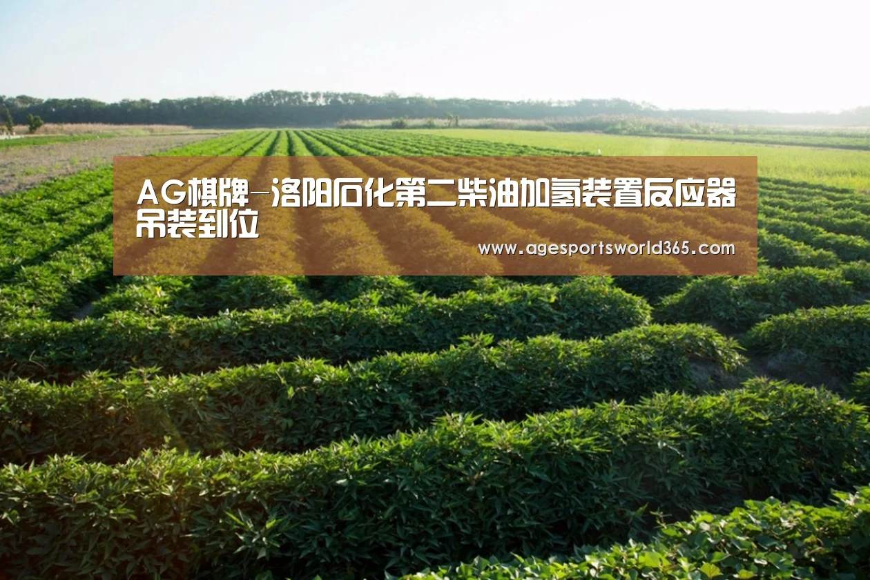 AG棋牌-洛阳石化第二柴油加氢装置反应器吊装到位(图1) AG百家乐