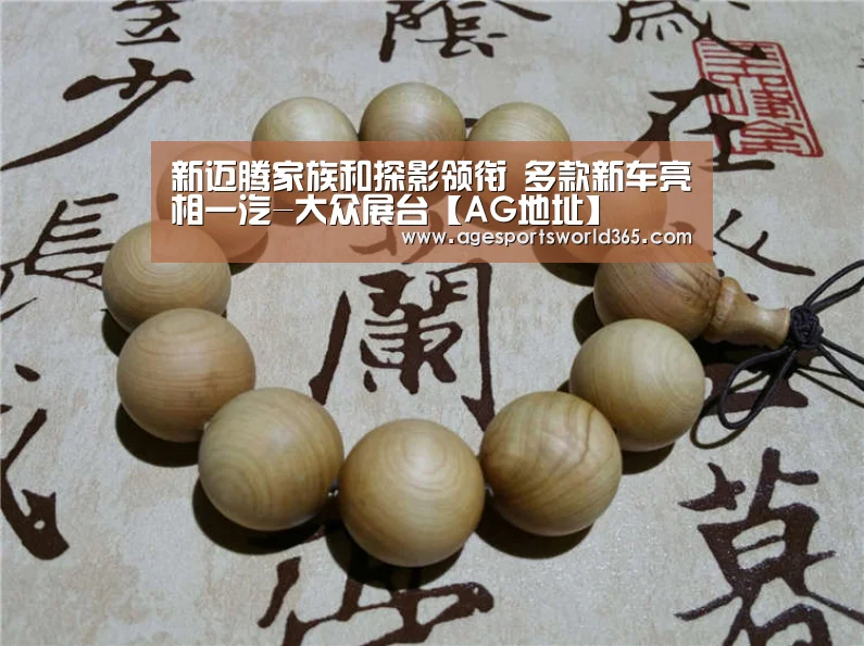 新迈腾家族和探影领衔 多款新车亮相一汽-大众展台【AG地址】(图4) AG篮球