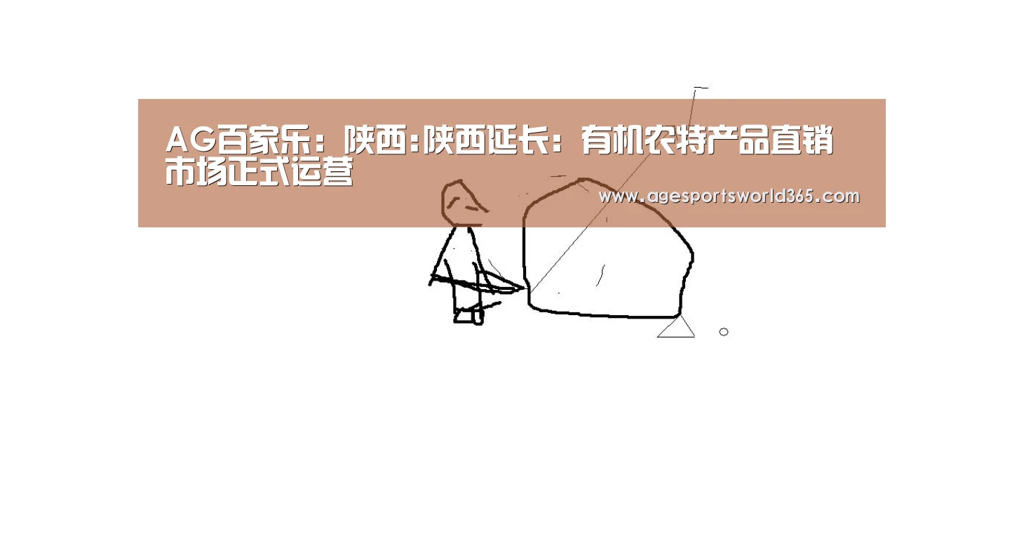 AG百家乐:陕西:陕西延长:有机农特产品直销市场正式运营(图3) AG棋牌