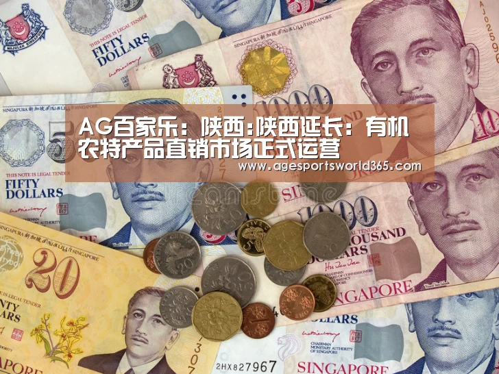 AG百家乐:陕西:陕西延长:有机农特产品直销市场正式运营(图1) AG百家乐