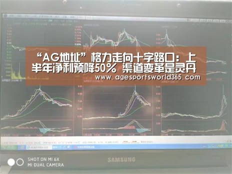 “AG地址”格力走向十字路口:上半年净利预降50% 渠道变革是灵丹妙药吗?(图3) AG地址