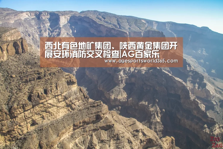 西北有色地矿集团、陕西黄金集团开展安环消防交叉检查|AG百家乐(图1) AG篮球