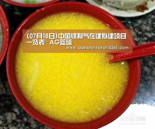 (07月18日)中国煤制气在建拟建项目一览表-AG篮球(图3) AG地址