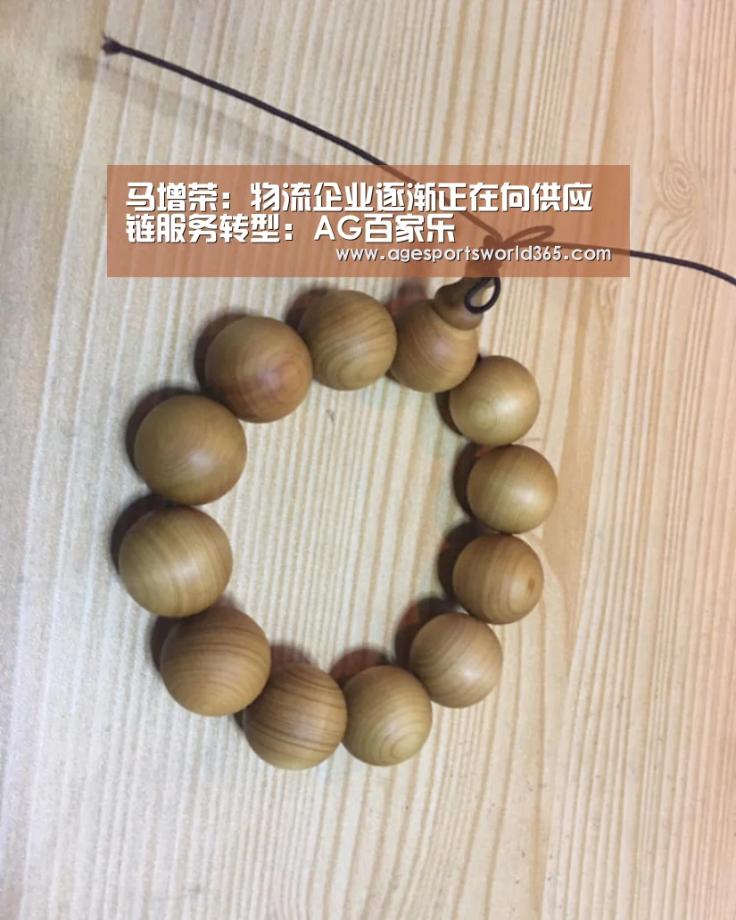 马增荣:物流企业逐渐正在向供应链服务转型:AG百家乐(图4) AG百家乐