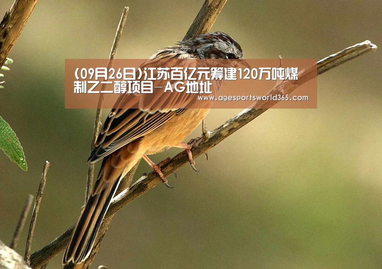 AG百家乐