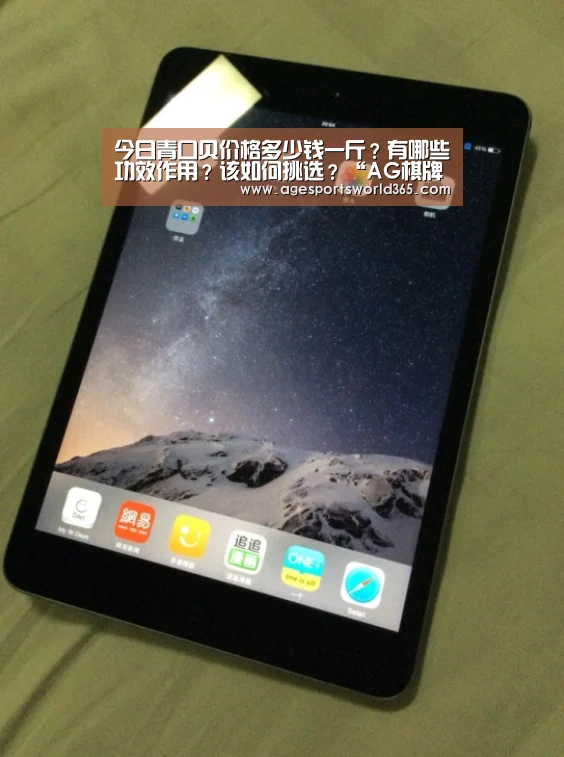 AG篮球