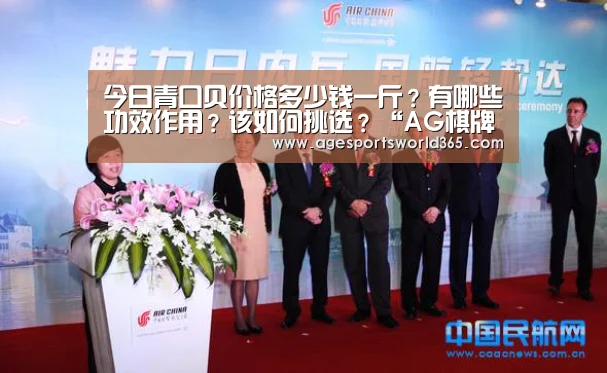 AG篮球