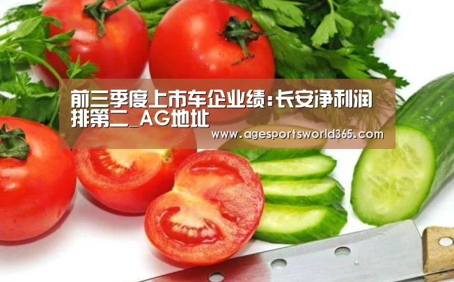 前三季度上市车企业绩:长安净利润排第二_AG地址(图2) AG百家乐