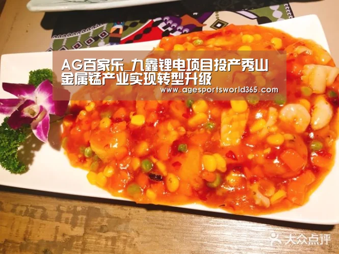 AG百家乐_九鑫锂电项目投产秀山金属锰产业实现转型升级(图2) AG百家乐