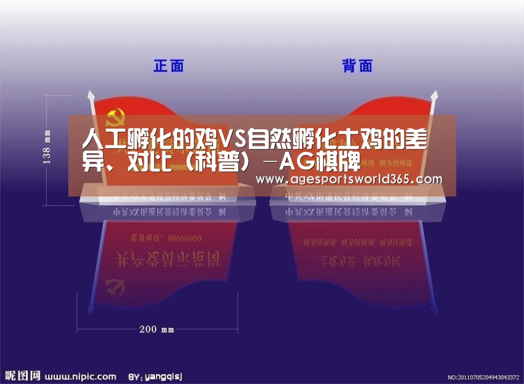 人工孵化的鸡VS自然孵化土鸡的差异、对比(科普)-AG棋牌(图1) AG棋牌
