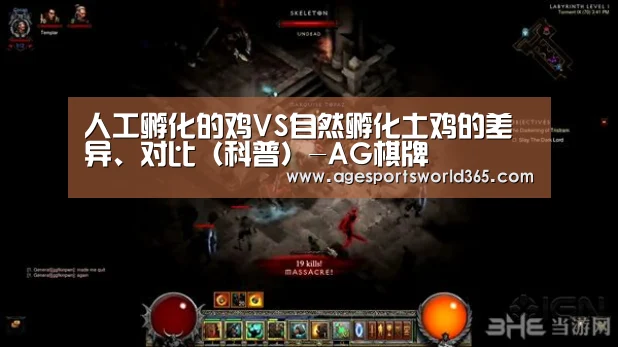 人工孵化的鸡VS自然孵化土鸡的差异、对比(科普)-AG棋牌(图3) AG百家乐